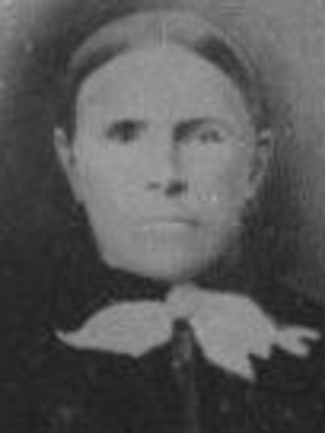 Eliza Morton (1835 - 1917) Profile